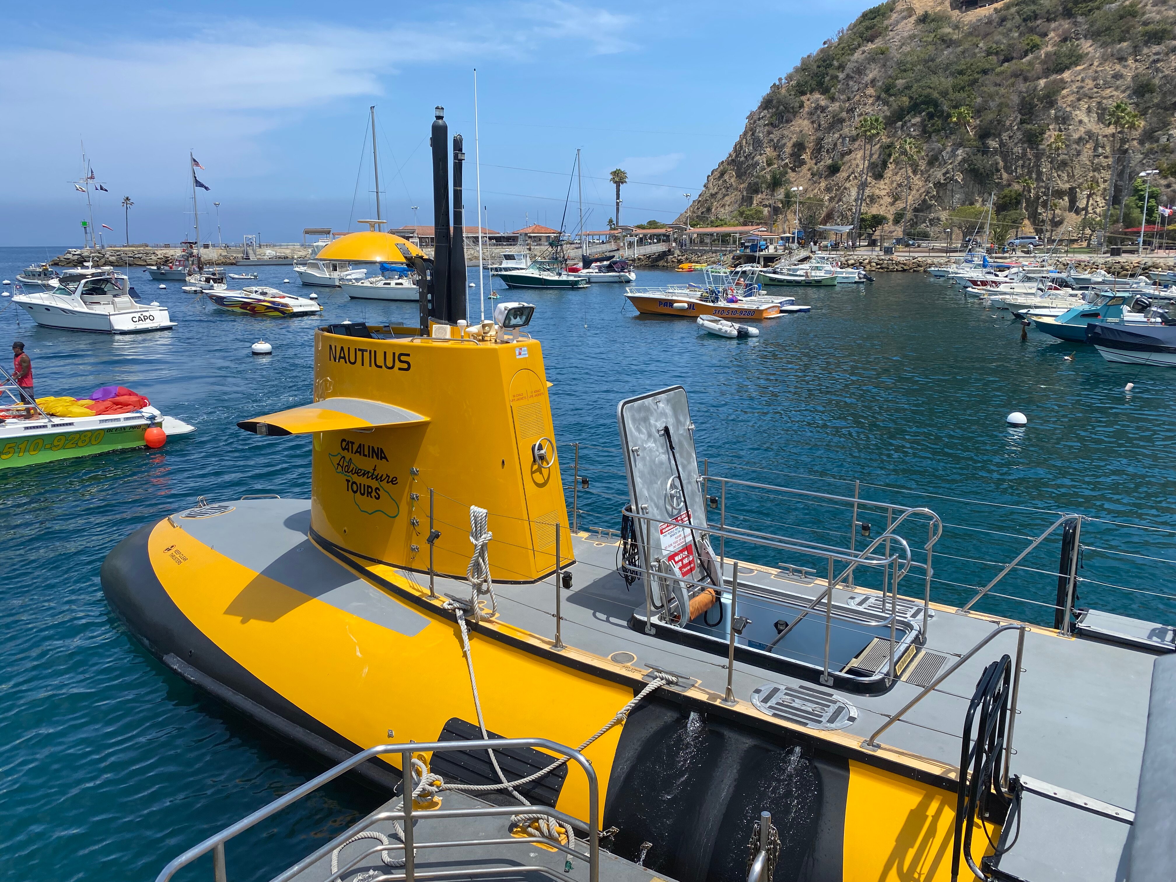 45 Minute Semi-Submarine Tour Of Catalina Island From Avalon | CA