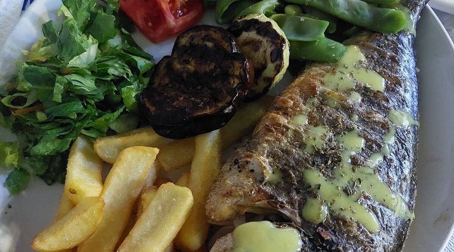 Fish of the day
