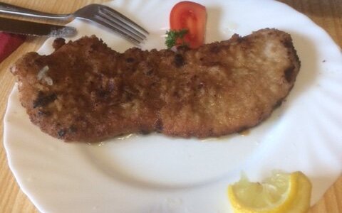 schnitzel