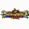 King Kong Extreme Zipline