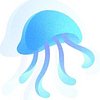 Jellyfish Taste