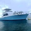 Pipe Dream Charters