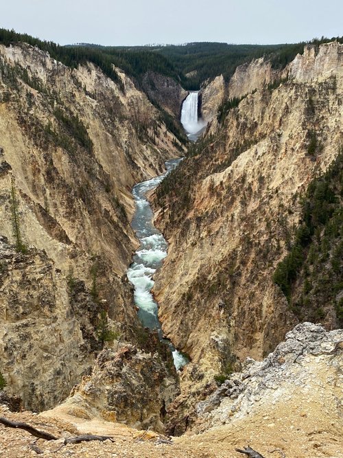 Yellowstone National Park Donna M review images