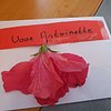 Antoinette H
