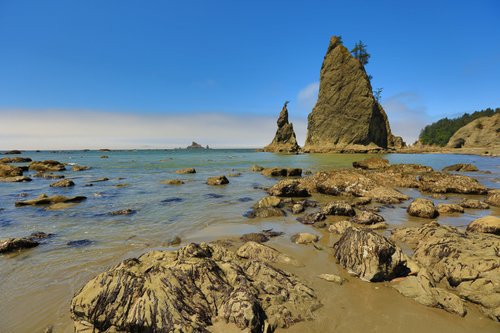 Olympic National Park PandaHouston review images