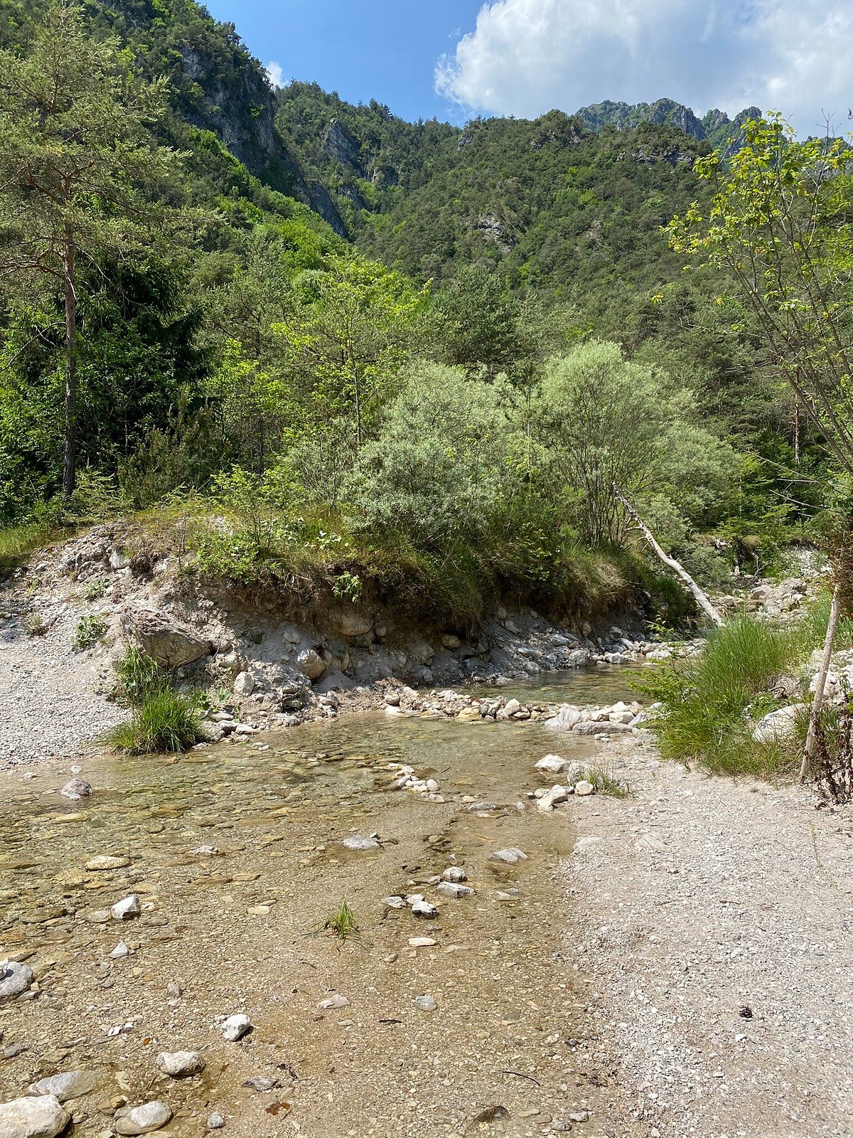 AREA PIC NIC VAL DI BONDO: Tutto quello che c'è da sapere (AGGIORNATO 2024)  - Tripadvisor