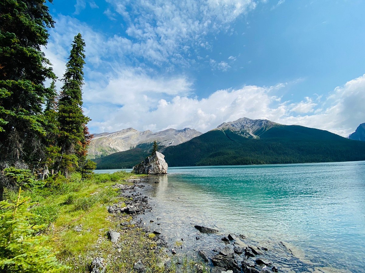 Primark, Shirts, Primark Canadian Rockies Alberta Lake Moraine Ten Peaks  Banff National Park S