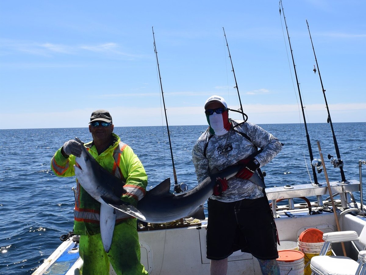 Big Game Shark Fishing, Blue Shark Fishing Charters