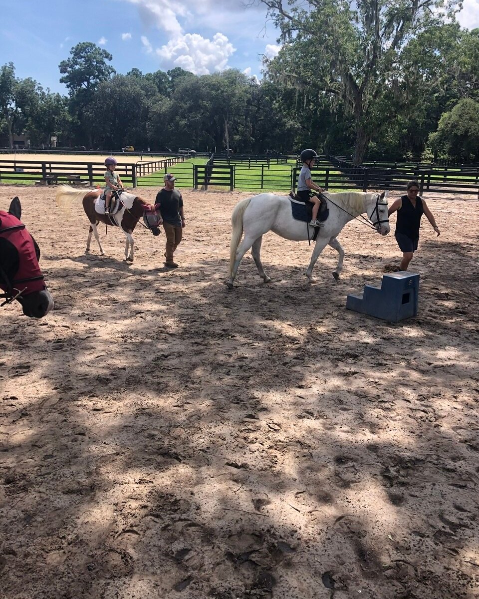 Moss Creek Equestrian Center - All You Need to Know BEFORE You Go (2024)