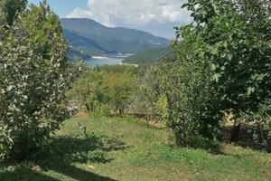 Viaggiatori