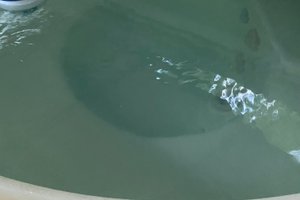 Piscine et plage