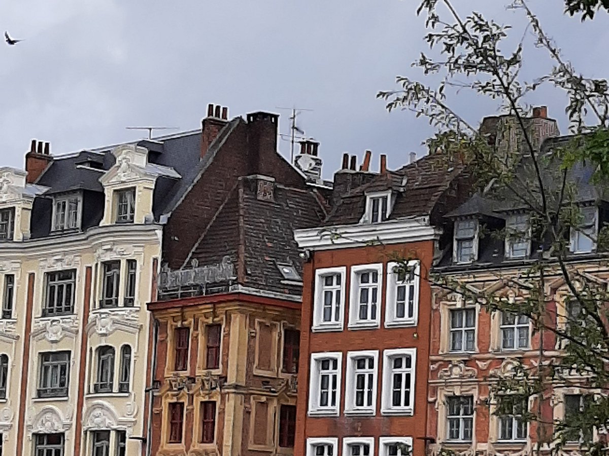 city tour lille france