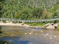 Fondo Gran Puente Sobre El Río Salmón En Fundy Trail Parkway Foto