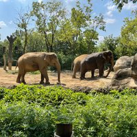 Cincinnati Zoo & Botanical Garden - All You Need to Know BEFORE You Go