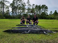 Genuine Alligator Leather ST3 Purse - Central Florida Trophy Hunts