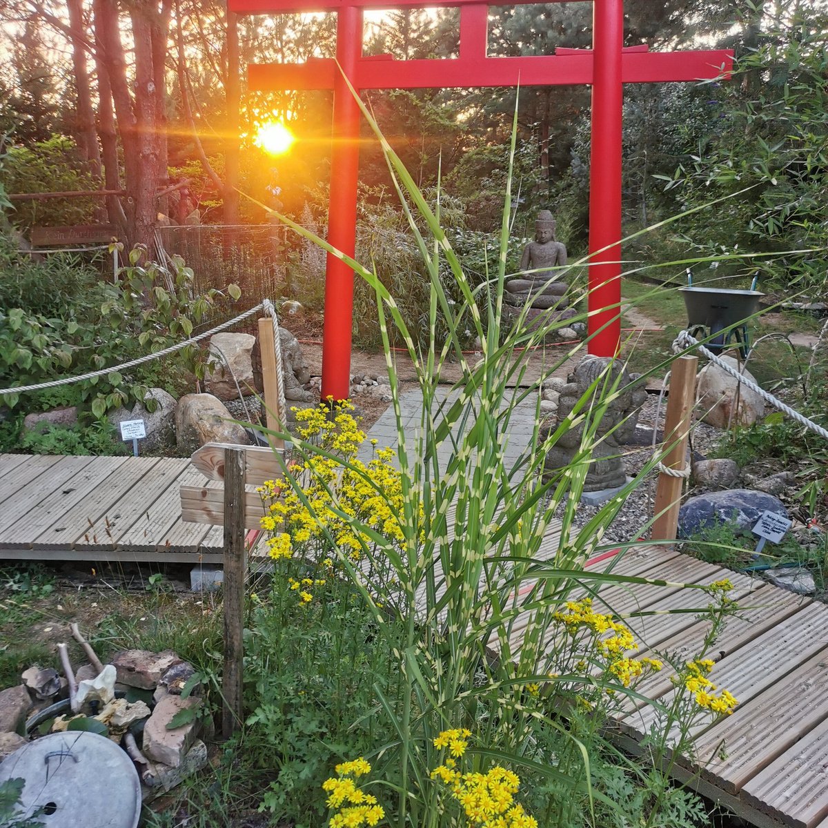EXOTIKKUNSTGARTEN MIT GALERIE NAGEL (Lychen) Ce qu'il faut savoir