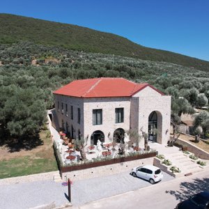MASHTRA - The Olive House
Property Building and olive garden