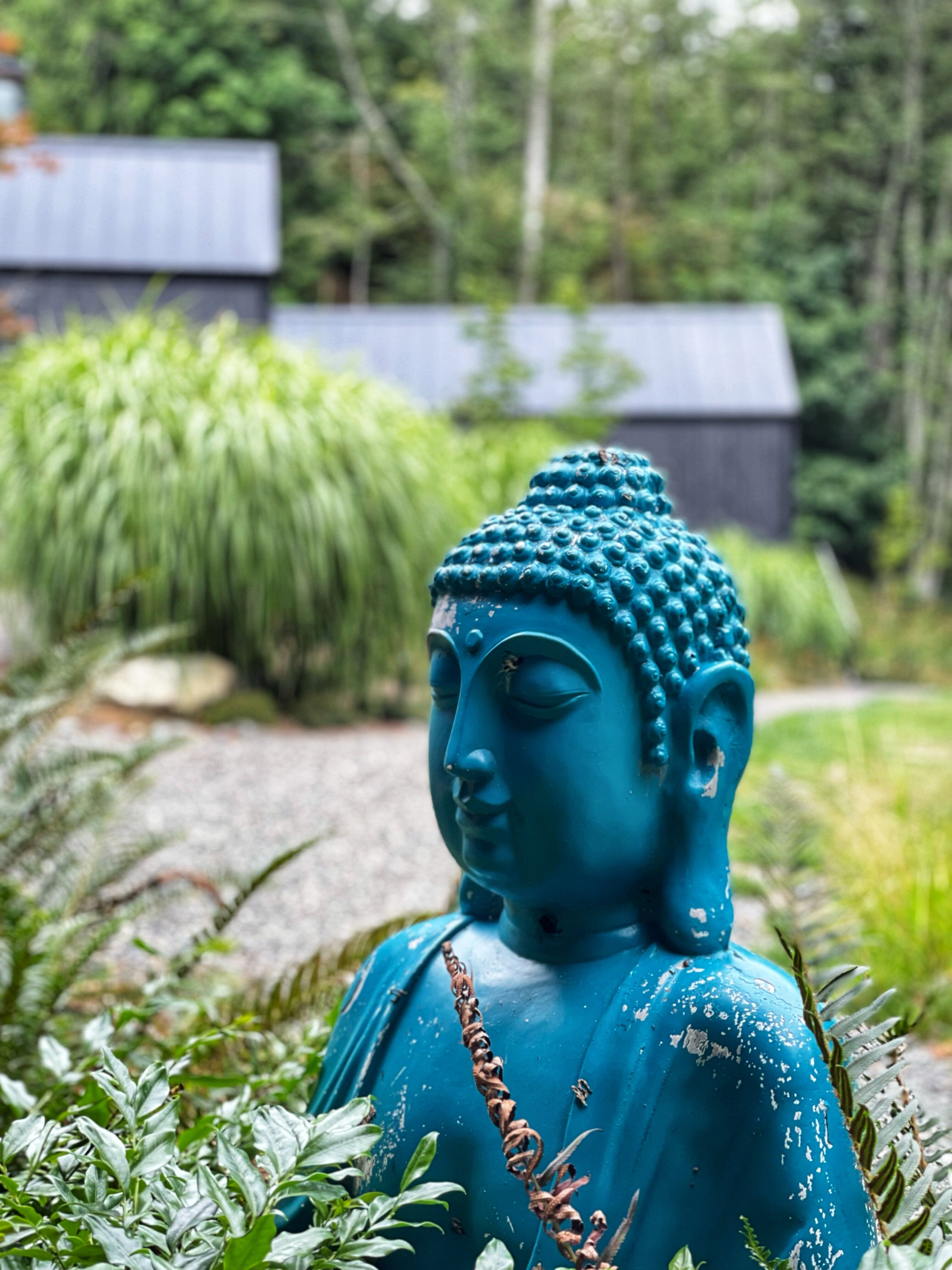 NECTAR YOGA: Bewertungen & Fotos (Bowen Island, Kanada) - Tripadvisor