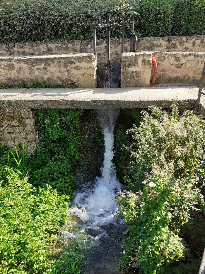 Imagen 10 de Cascadas Del Rio Cifuentes