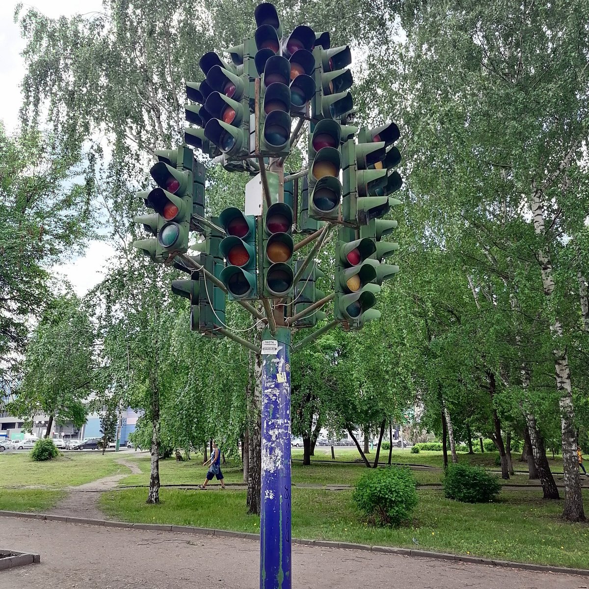 Traffic Light Tree - All You Need to Know BEFORE You Go (with Photos)