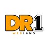 DR1 webland