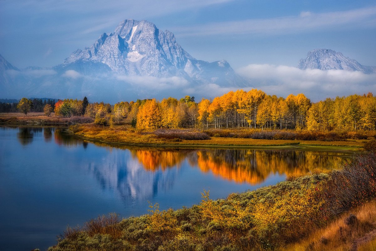 Vibrant yellow leaves reflect in the water with a looming snow-peaked Grand Teton peak in the background