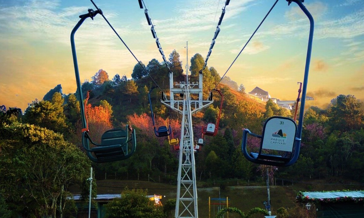 Jogo Ludo Parque Capivari