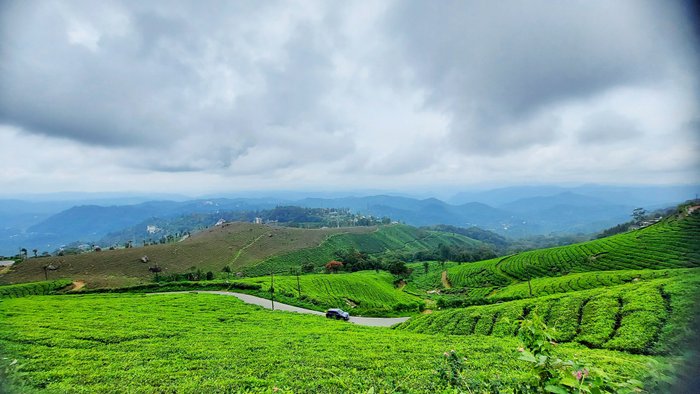 MUNNAR HILLS - Updated 2023 Prices, Reviews, and Photos (Kerala)