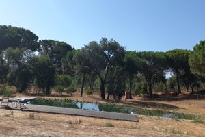 Piscina e praia