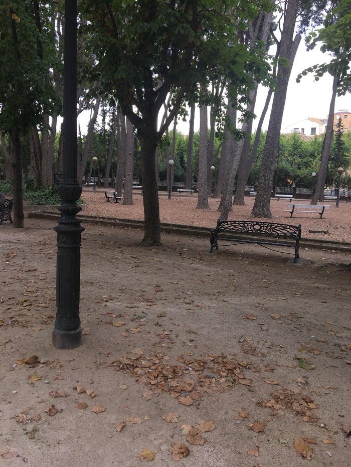 Imagen 8 de Parque Miguel Servet