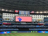 Rogers Centre Baseball Food Vendor . Toronto, Ontario, …