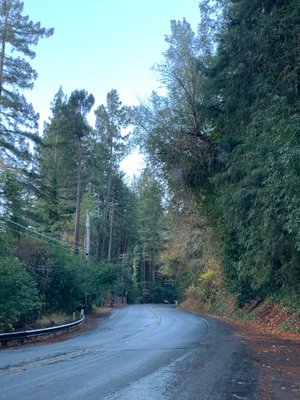 Rollerville Junction: Your Northern California Campground Escape