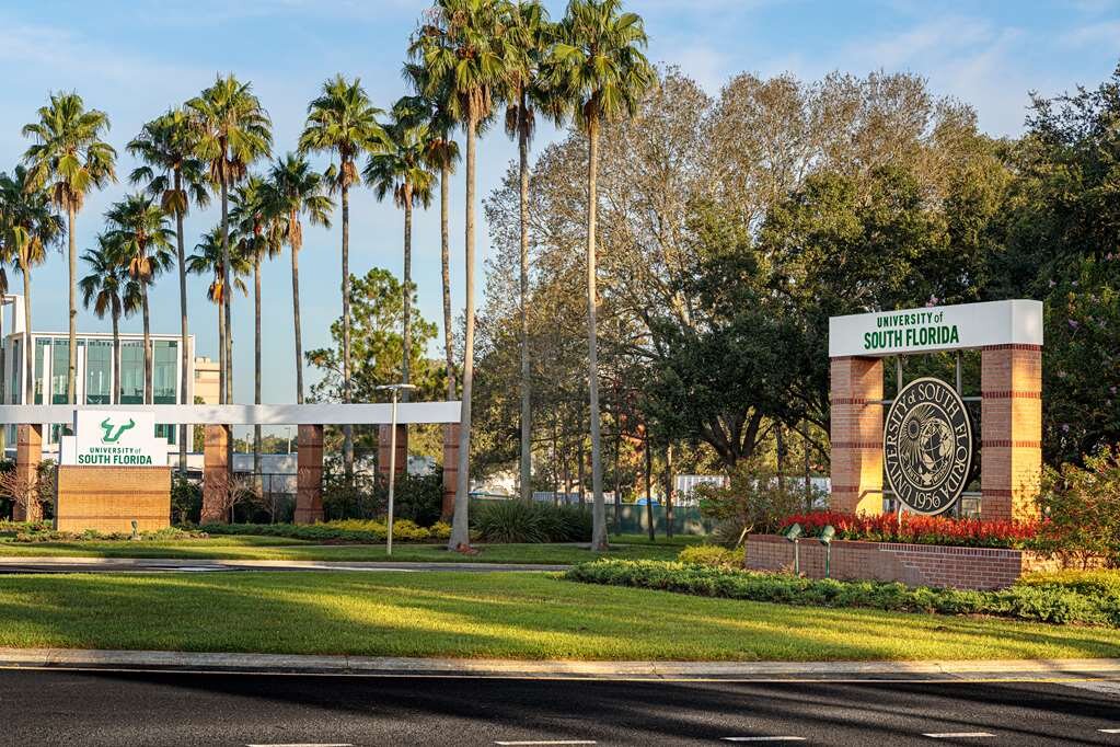 Hotel photo 15 of Hyatt Place Tampa/Busch Gardens.