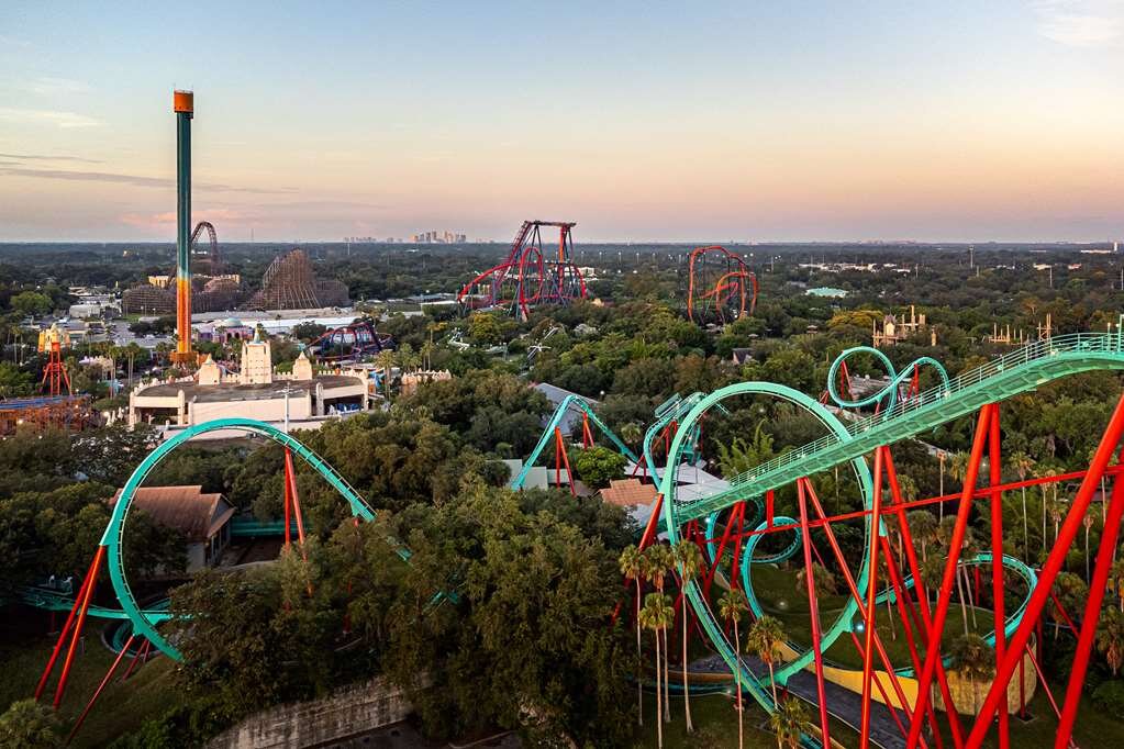 Hotel photo 29 of Hyatt Place Tampa/Busch Gardens.