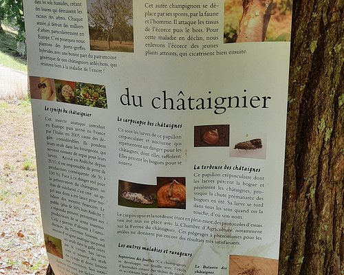 The Best Shopping In Ardeche Tripadvisor The Best Shopping In Ardeche Tripadvisor