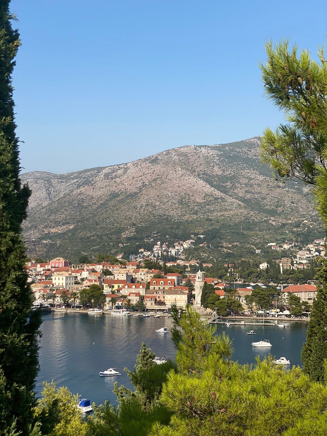 HOTEL CROATIA CAVTAT (Хорватия) - отзывы, фото и сравнение цен - Tripadvisor