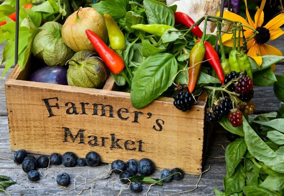 The Vanderbilt Farmers Market - All You Need to Know BEFORE You Go (2024)