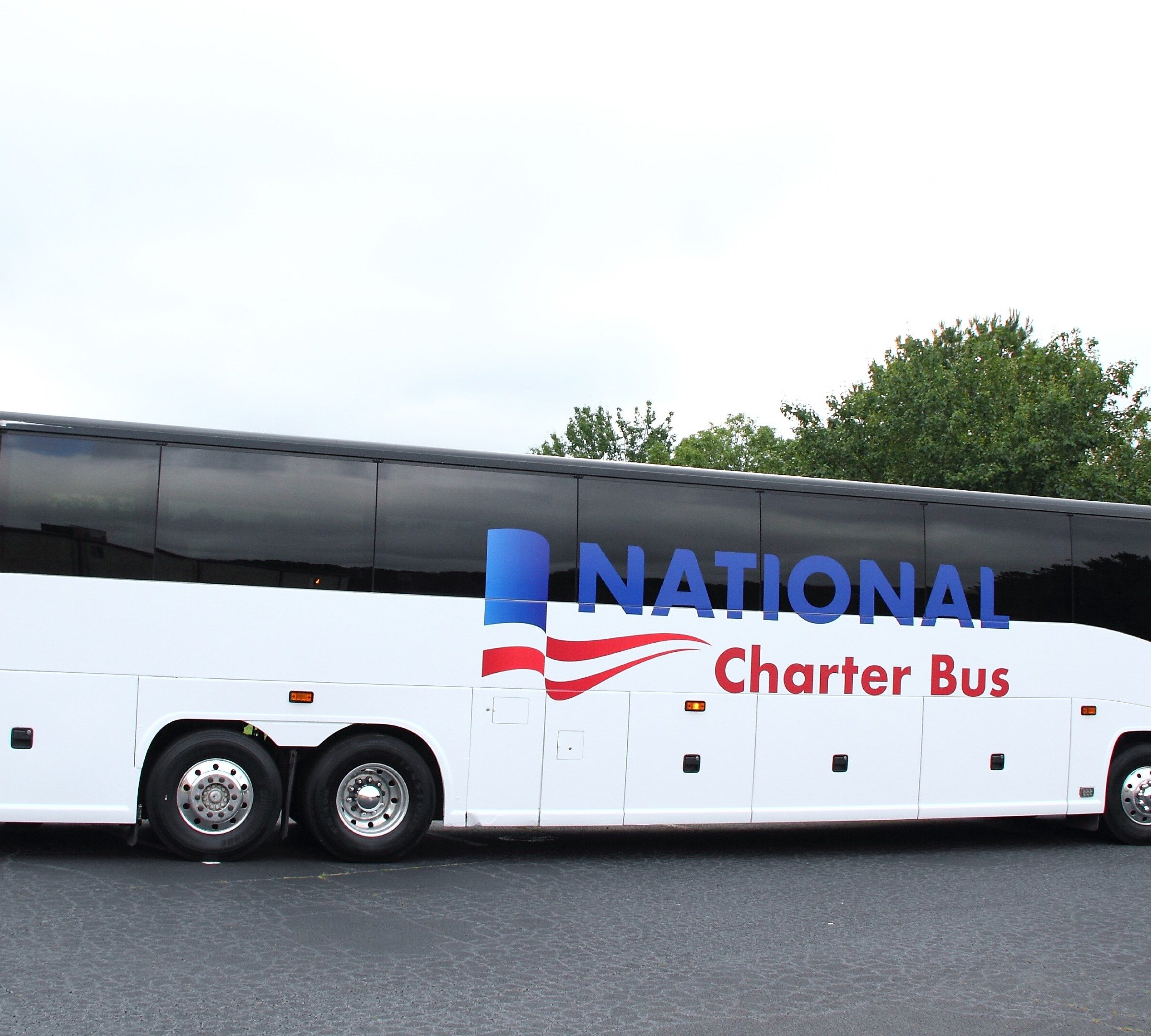 National Charter Bus Tampa (FL): Hours, Address - Tripadvisor