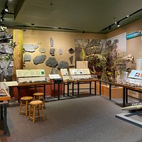 Museum of the Earth (Ithaca) - All You Need to Know BEFORE You Go