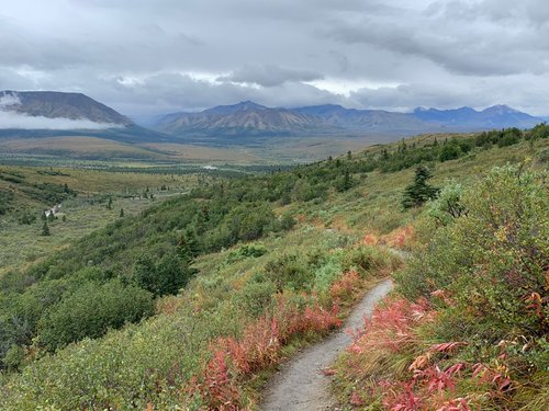 Denali National Park and Preserve Camille review images