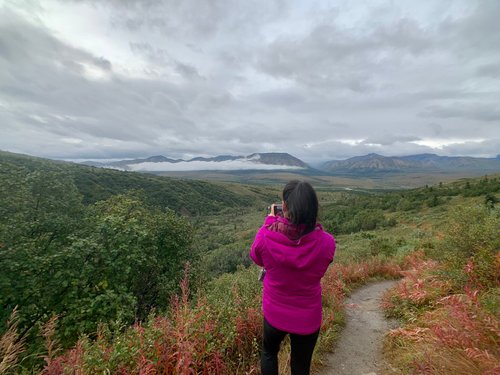 Denali National Park and Preserve Camille review images
