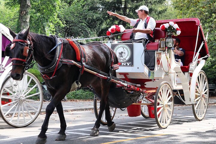 Horse and carriage ride through hot sale central park