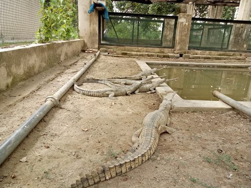 Os Melhores Pontos Turísticos Em Katarneya Ghat Range 2024