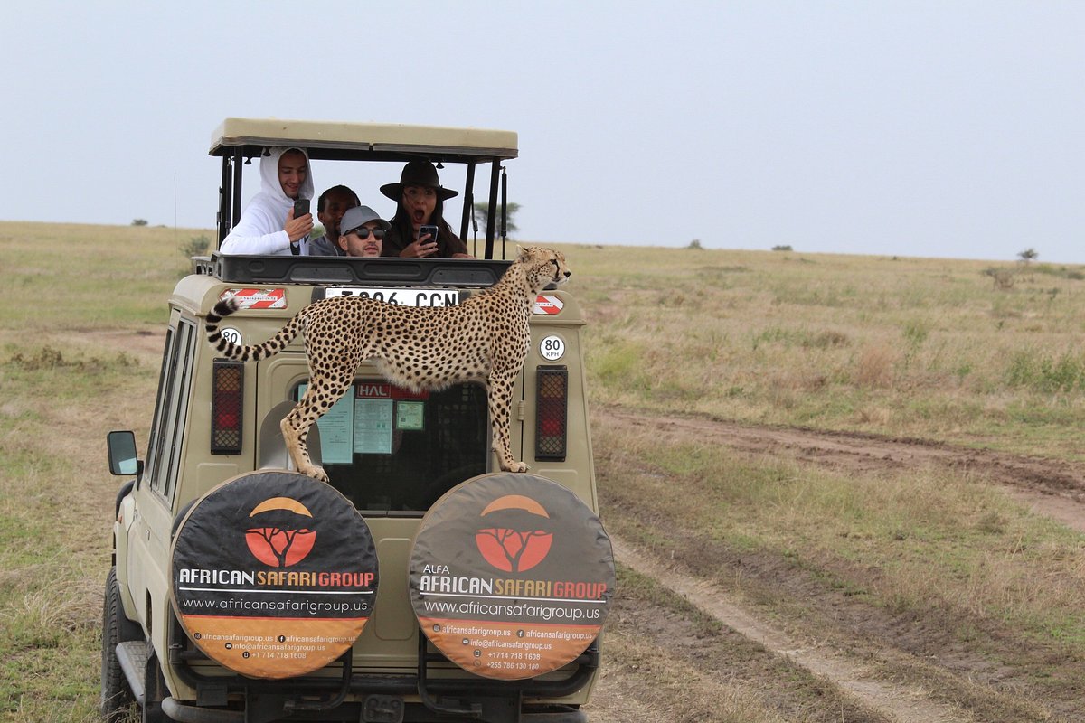 Safari Group