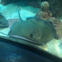 ABQ BIOPARK AQUARIUM (Albuquerque) - What to Know BEFORE You Go