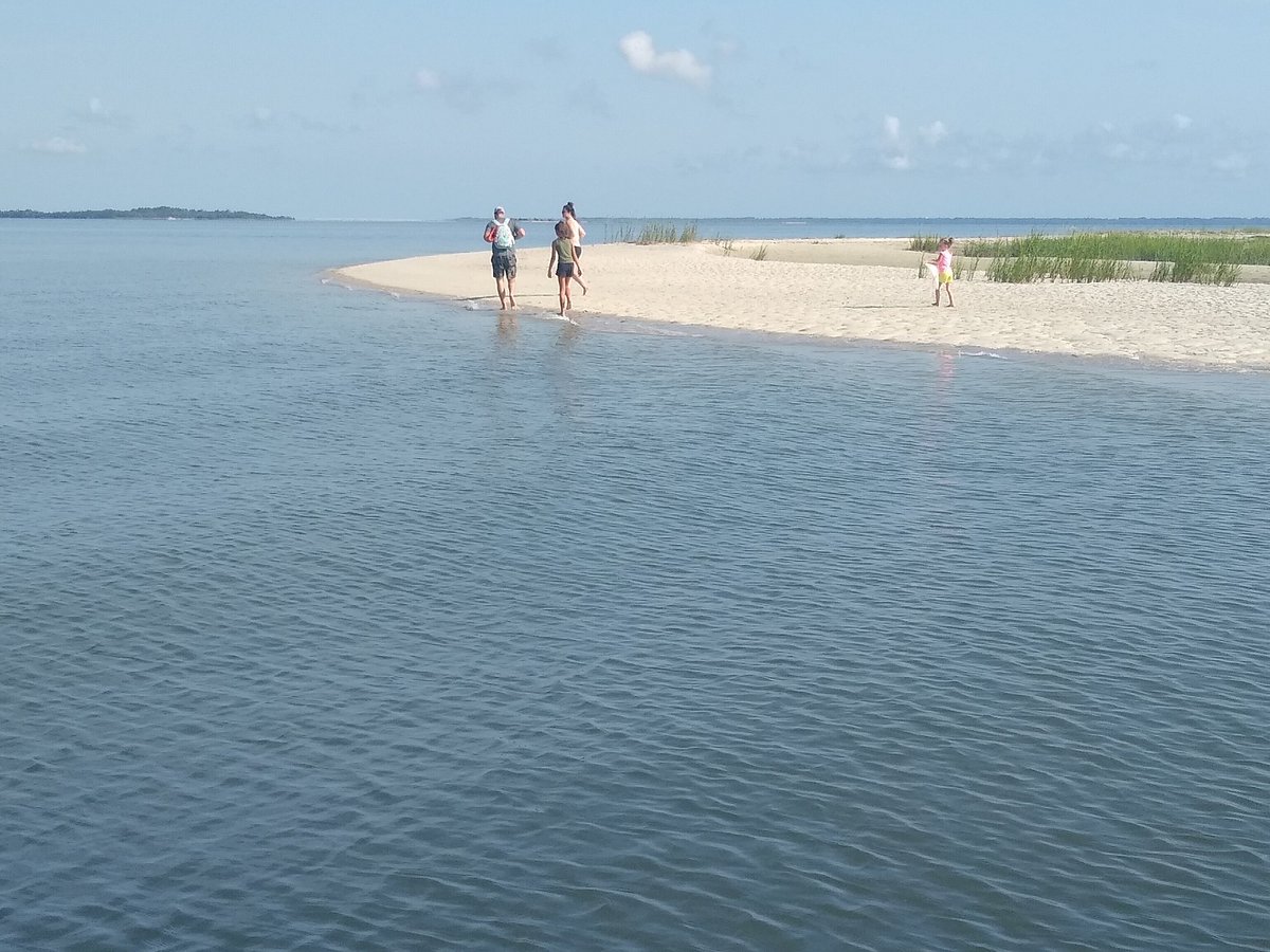 Commander Zodiac  Dolphin & Nature Tours Hilton Head Island