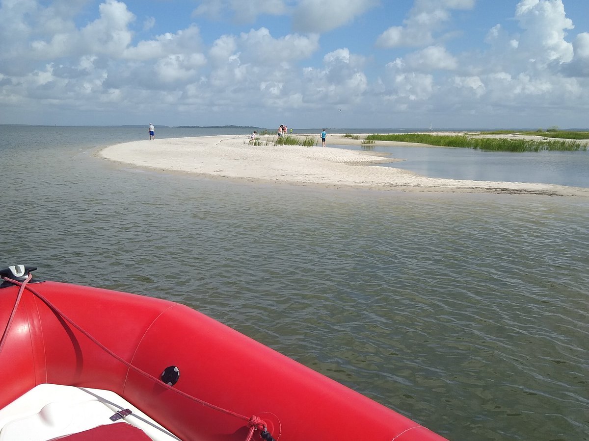 Commander Zodiac  Dolphin & Nature Tours Hilton Head Island