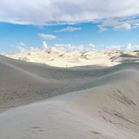 Samalayuca Dune Fields - All You Need to Know BEFORE You Go (2024)