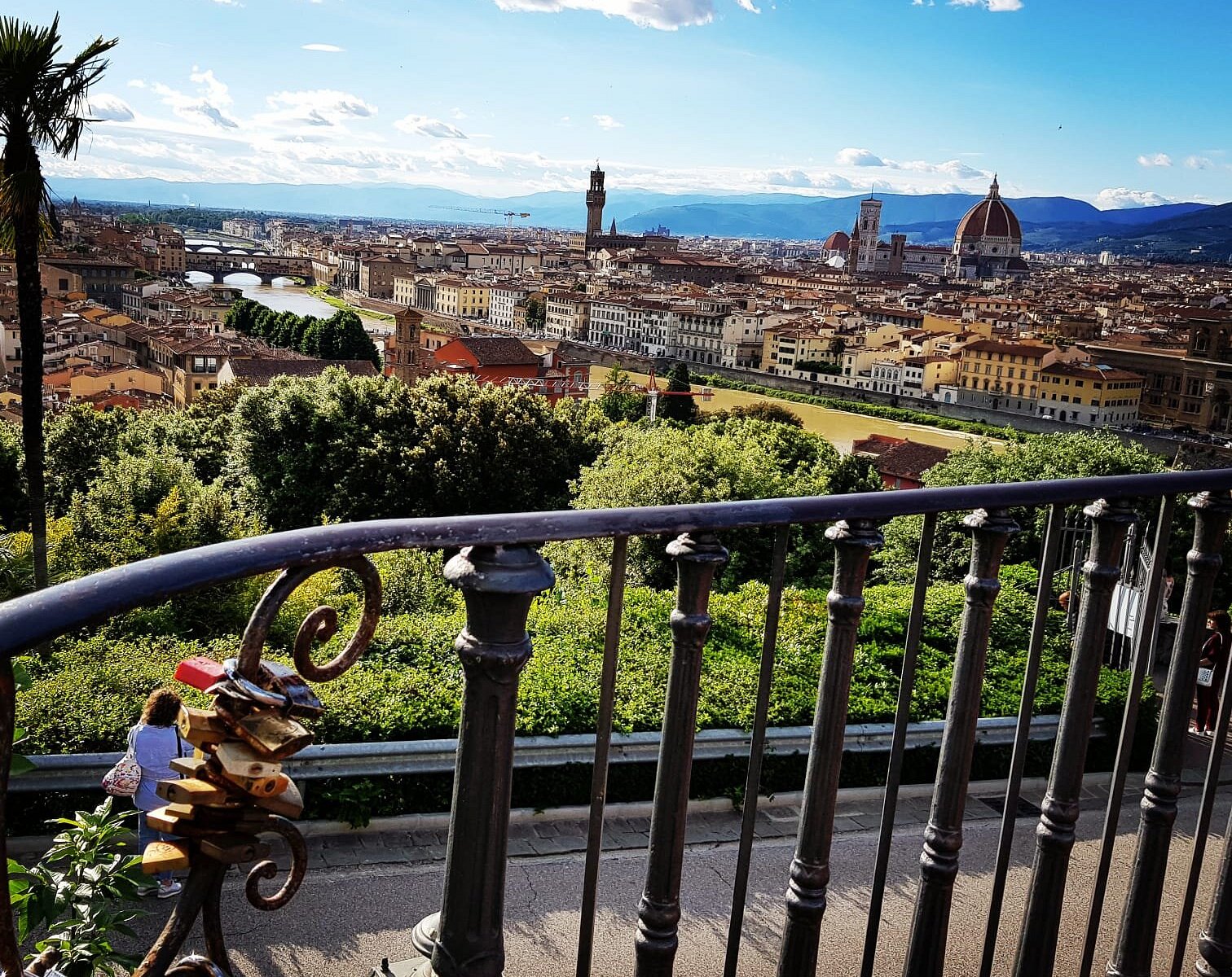 tuscany car tours reviews