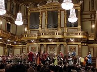 Tripadvisor, Vienna Mozart Concert no Musikverein fornecido pela Vienna  Mozart Concerts